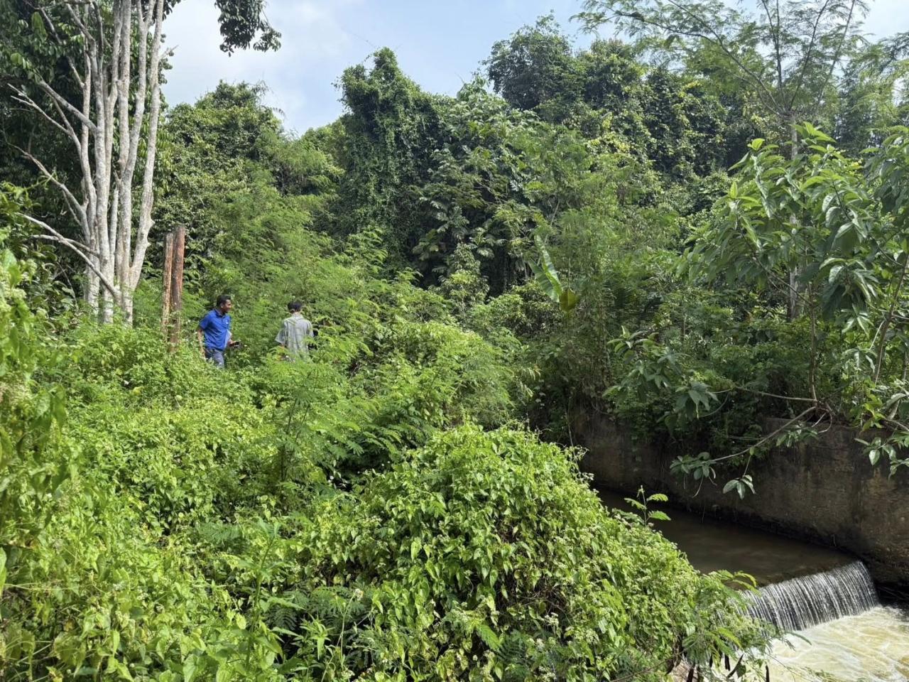 ภาพประกอบที่ 3