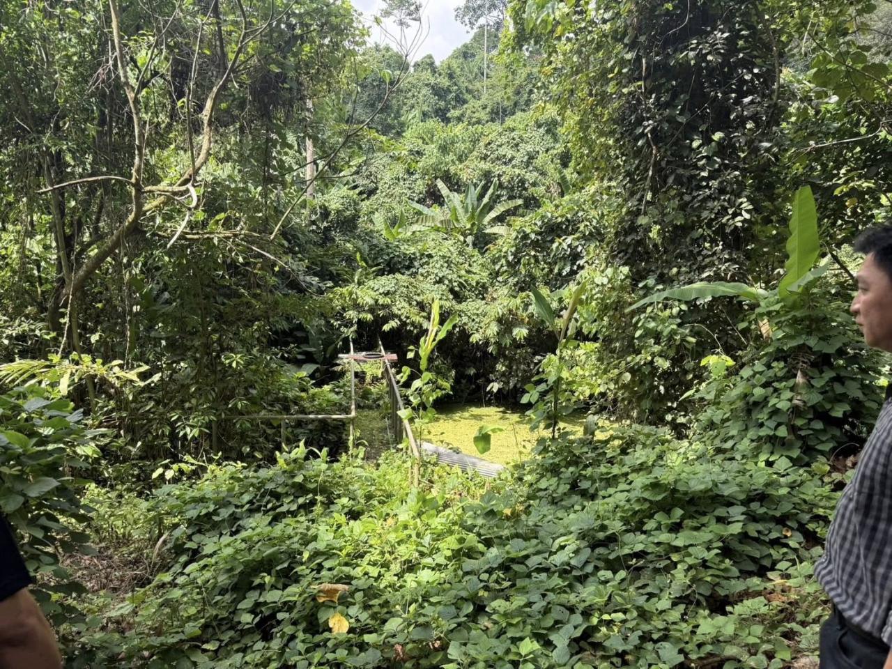 ภาพประกอบที่ 0