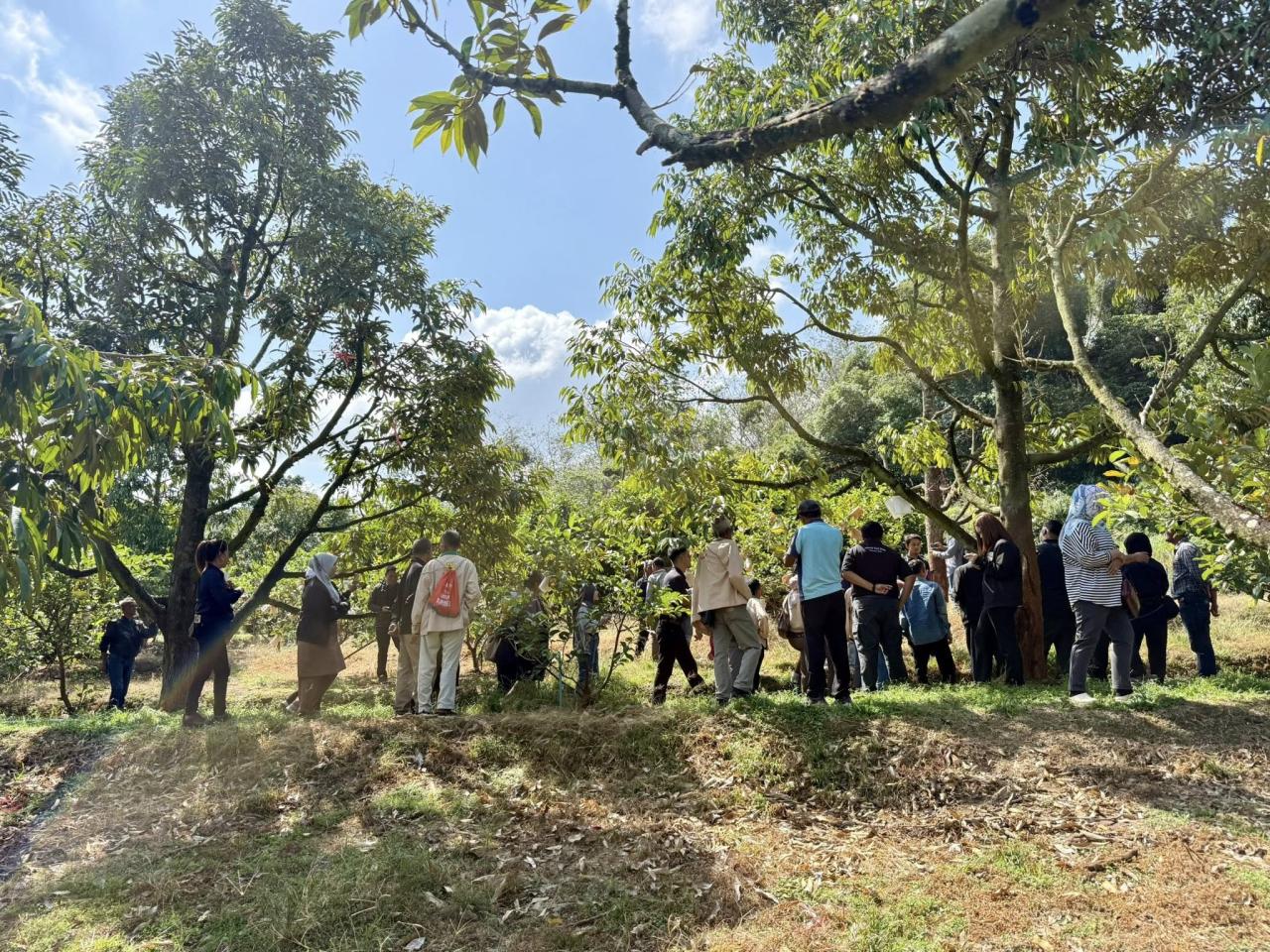 ภาพประกอบที่ 9