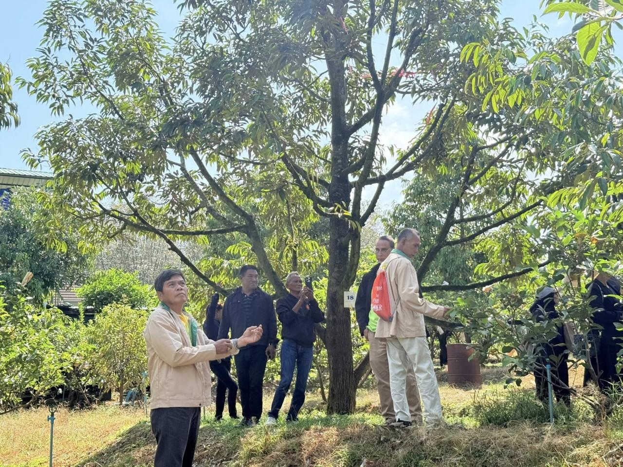 ภาพประกอบที่ 10