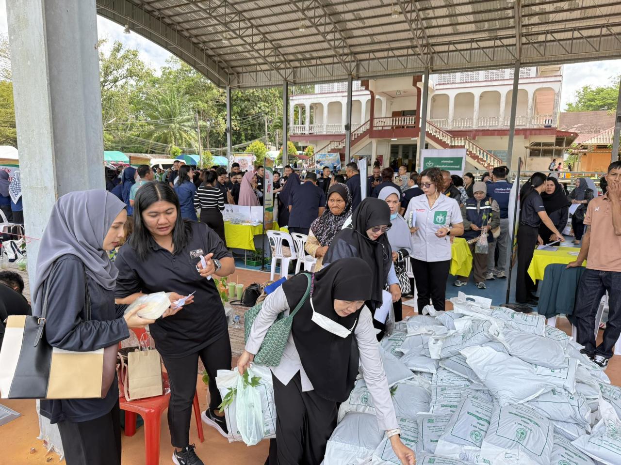 ภาพประกอบที่ 3