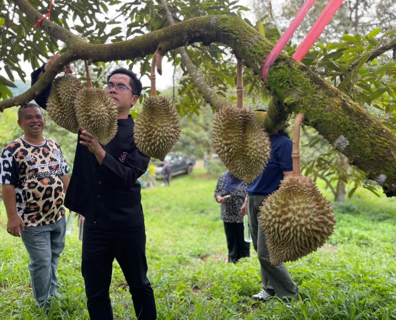 ภาพประกอบที่ 1