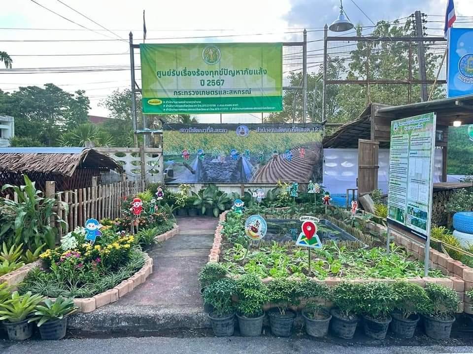 ภาพประกอบที่ 8