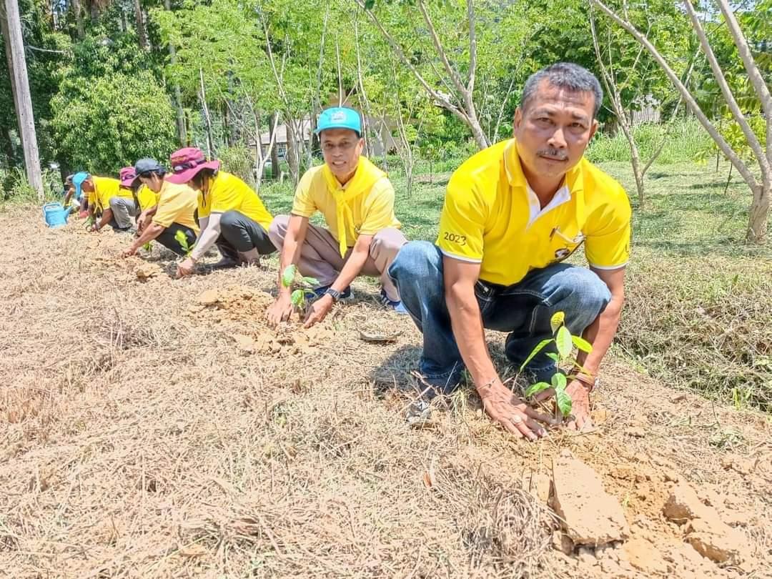 ภาพประกอบที่ 0