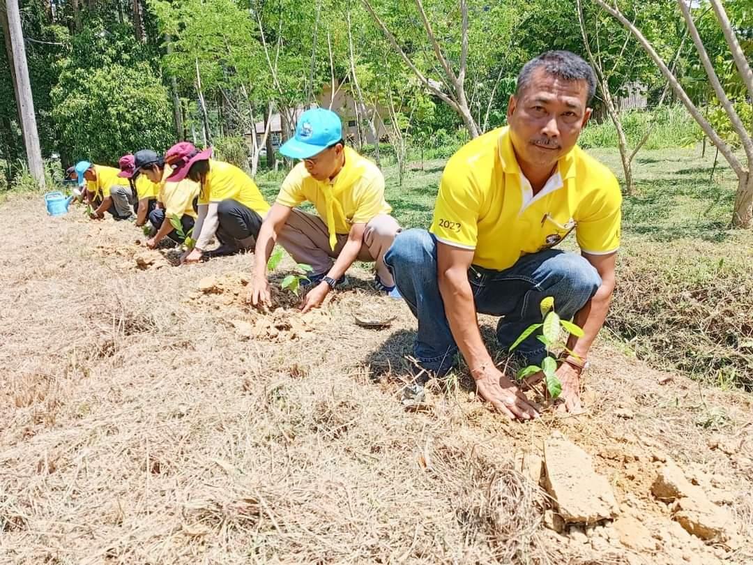 ภาพประกอบที่ 3