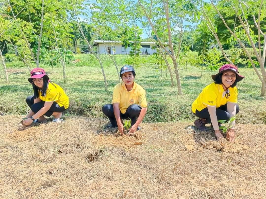 ภาพประกอบที่ 12