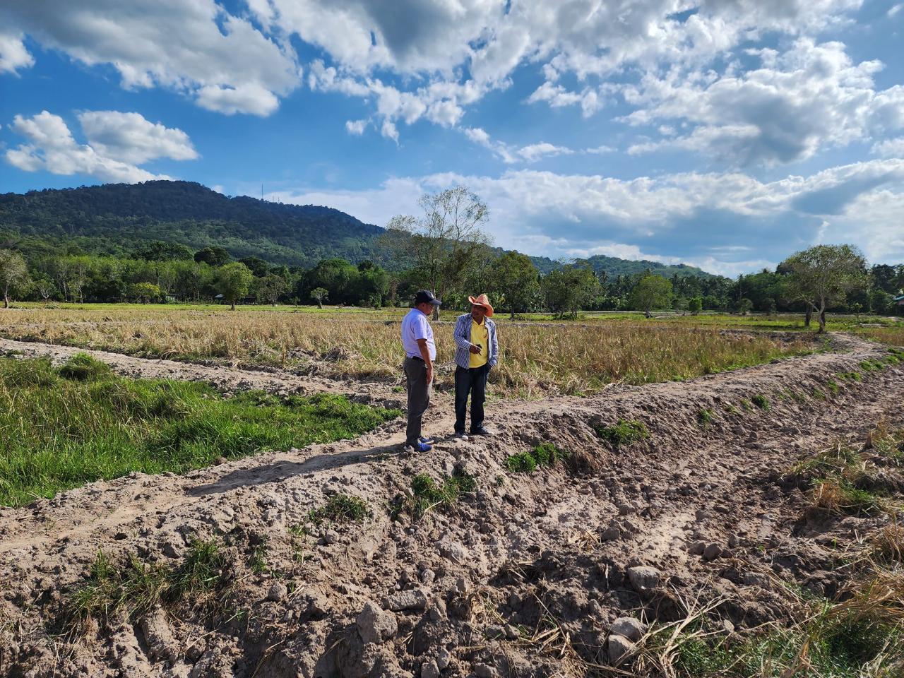 ภาพประกอบที่ 5