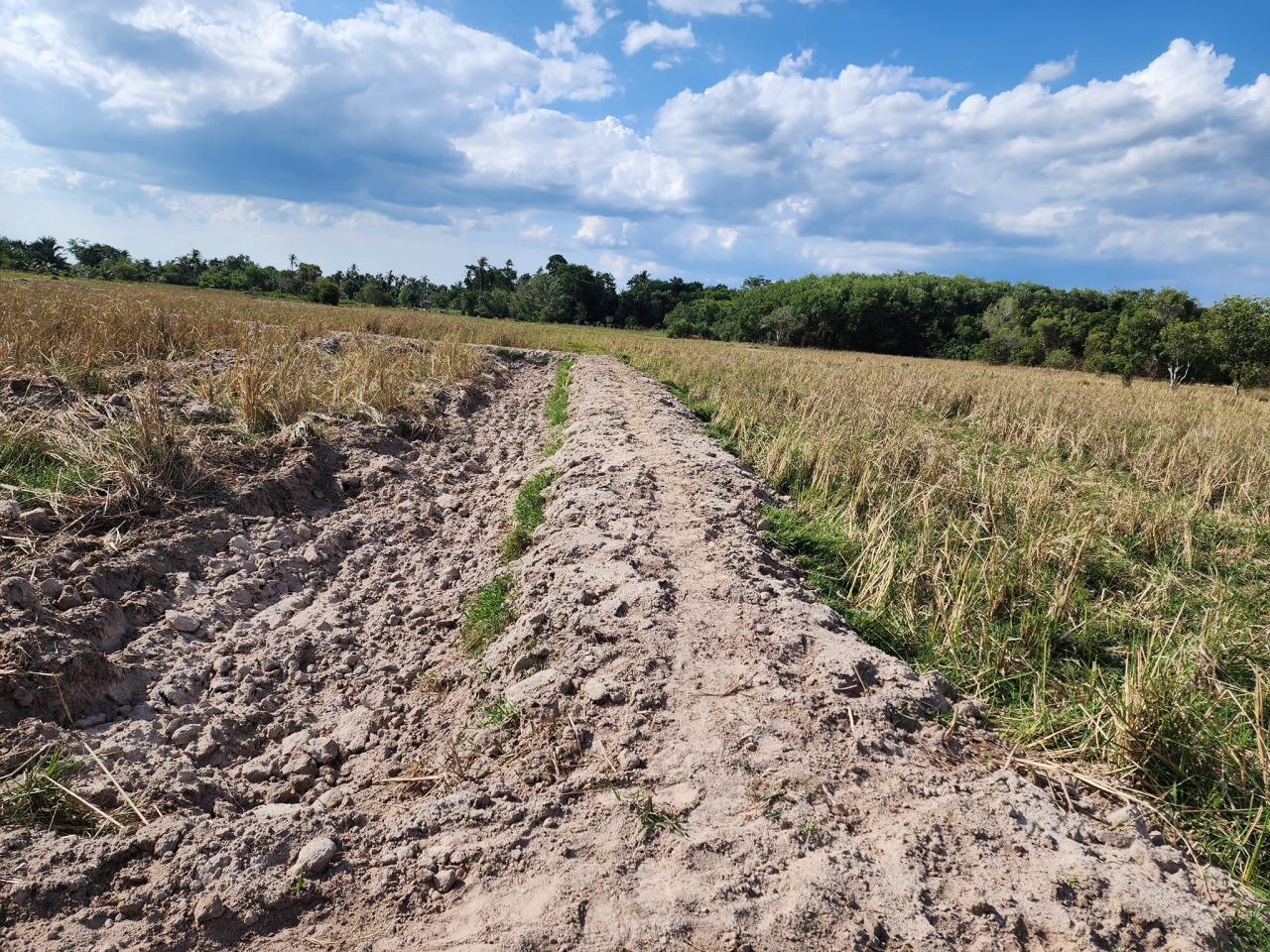 ภาพประกอบที่ 6