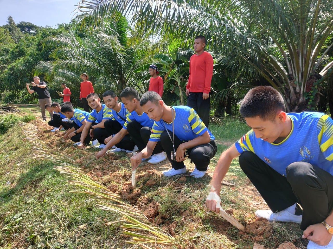 ภาพประกอบที่ 0