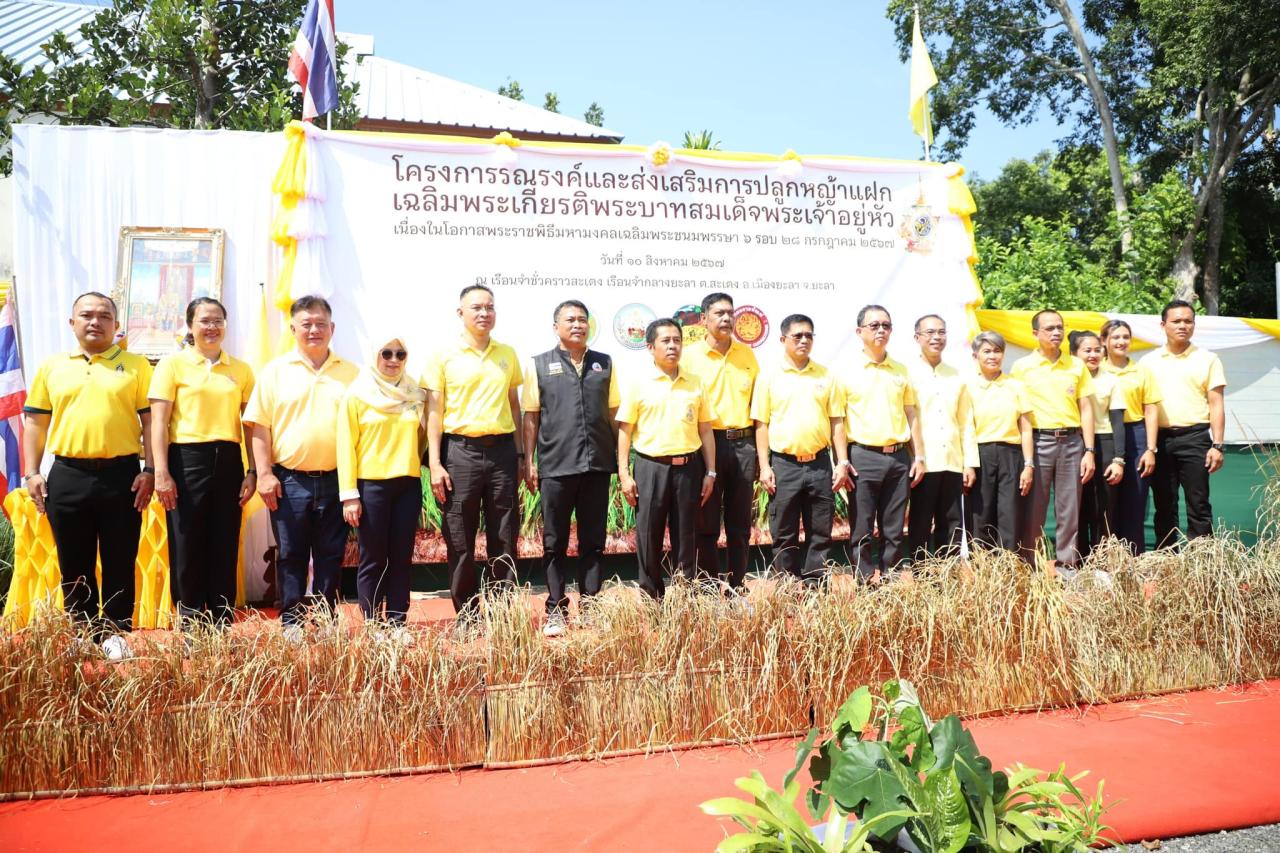 ภาพประกอบที่ 6