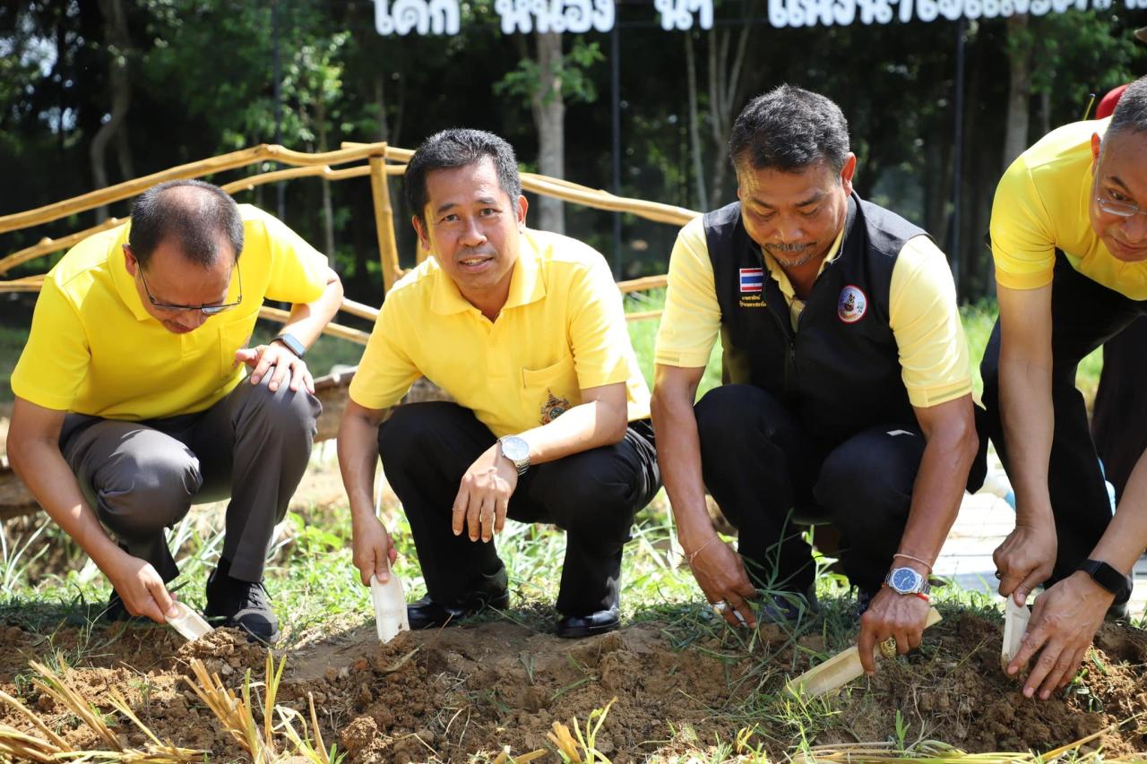 ภาพประกอบที่ 7