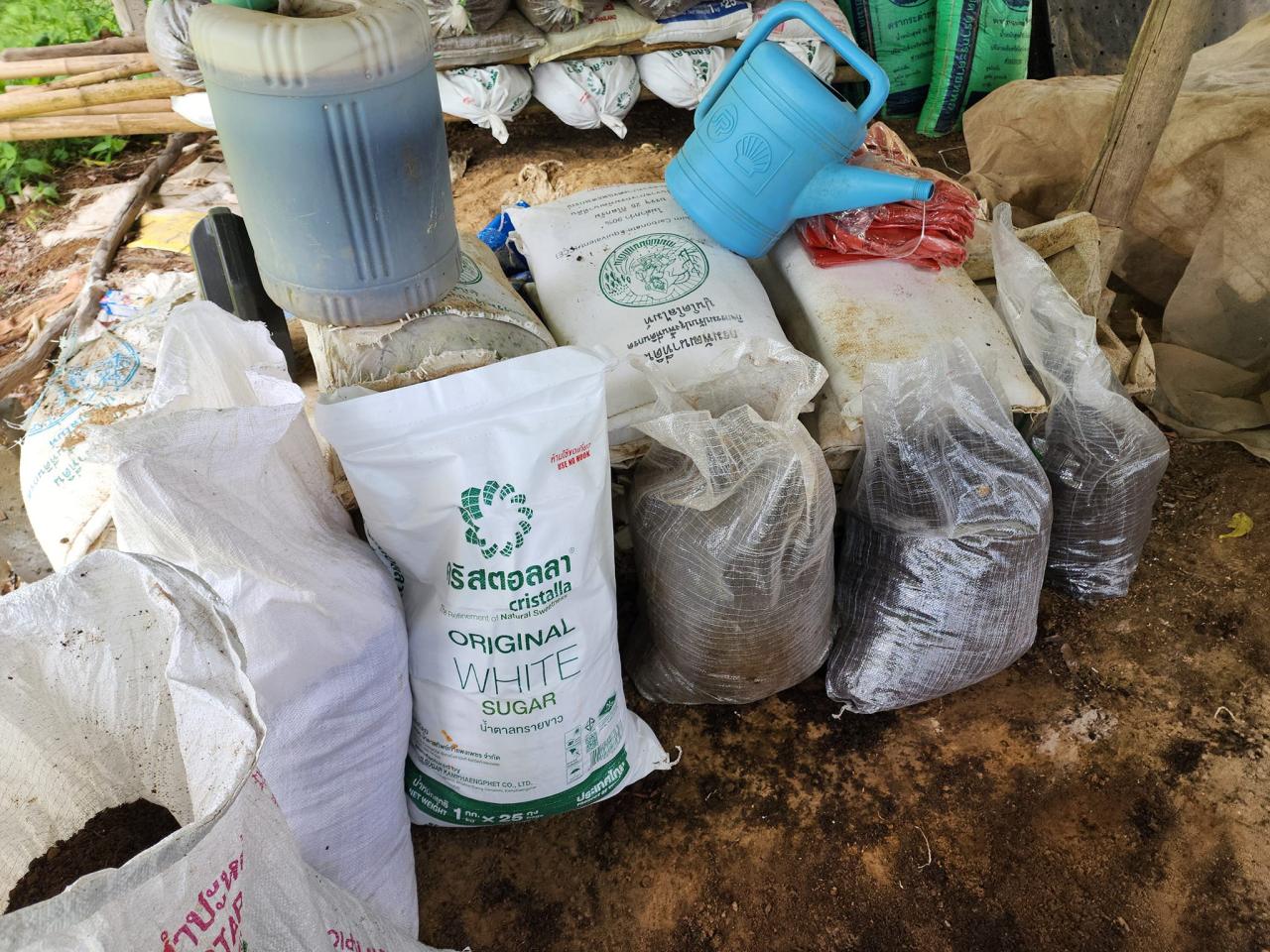 ภาพประกอบที่ 0