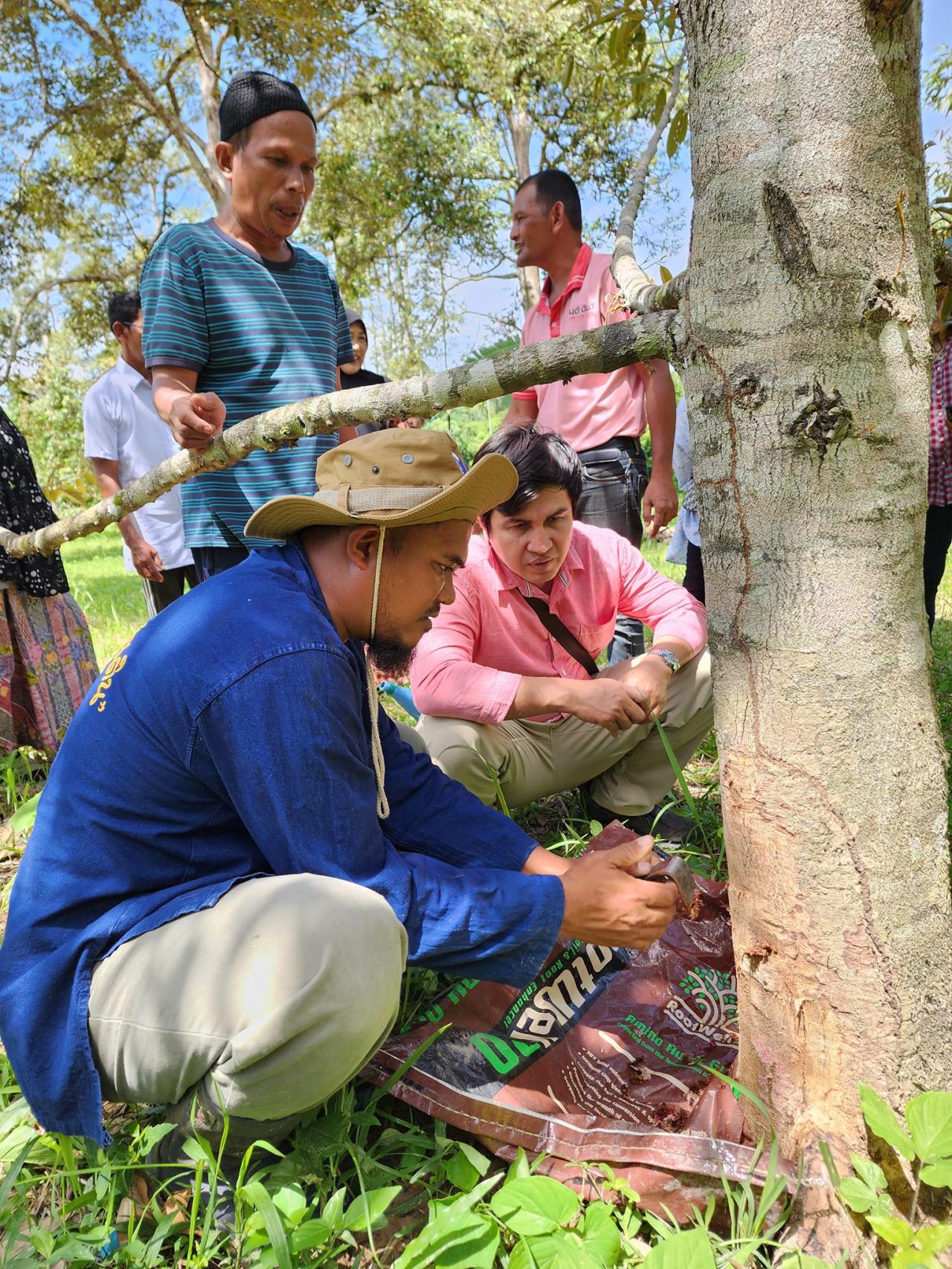 ภาพประกอบที่ 1