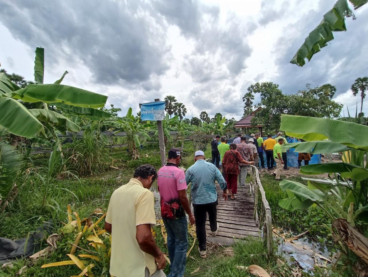 ภาพประกอบที่ 2