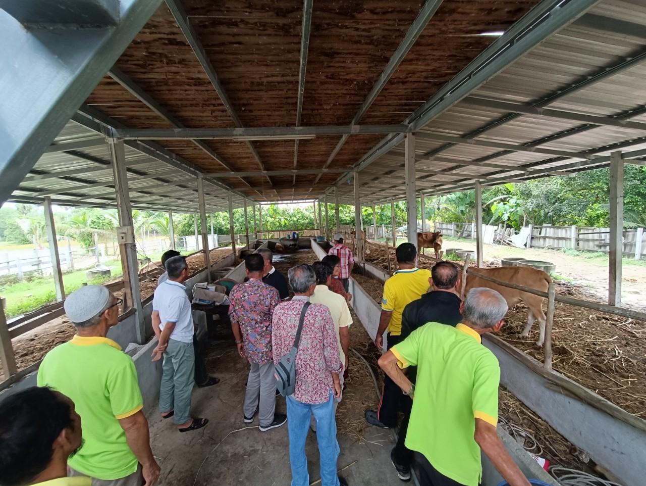 ภาพประกอบที่ 3