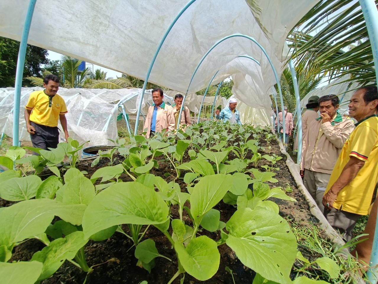 ภาพประกอบที่ 5