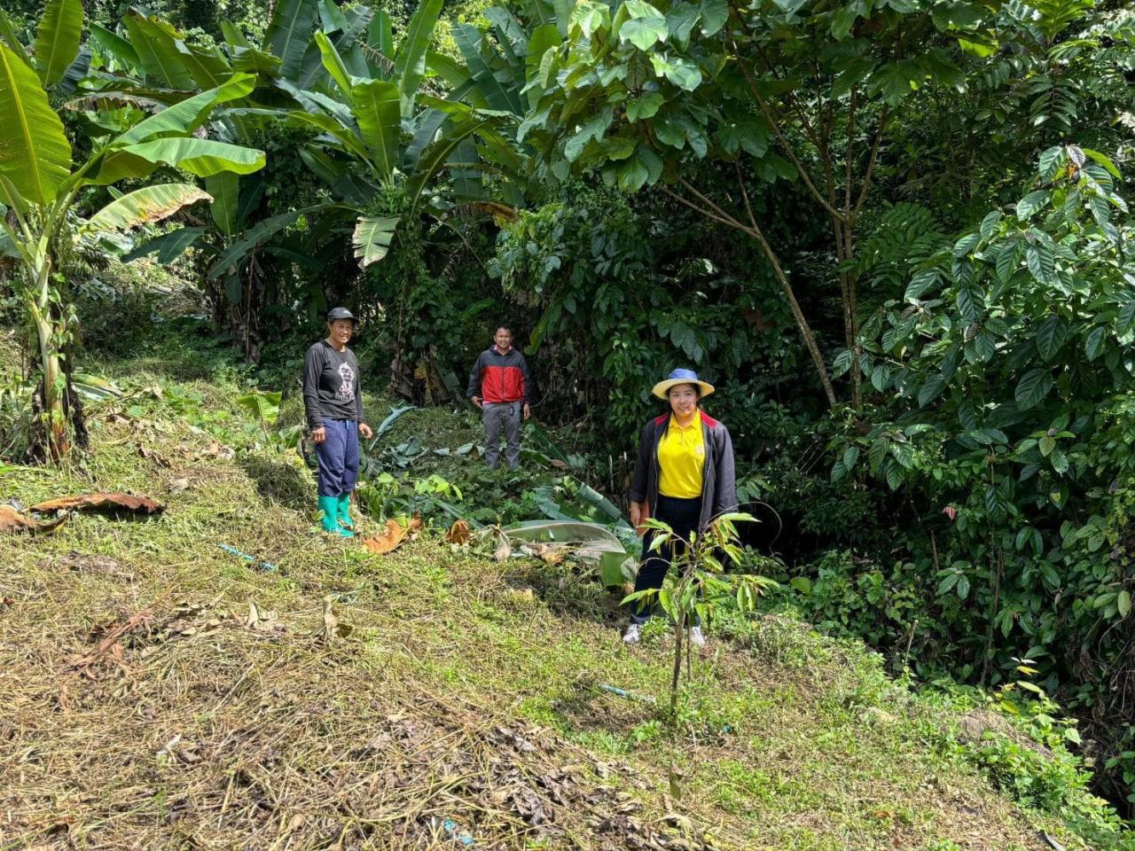 ภาพประกอบที่ 1