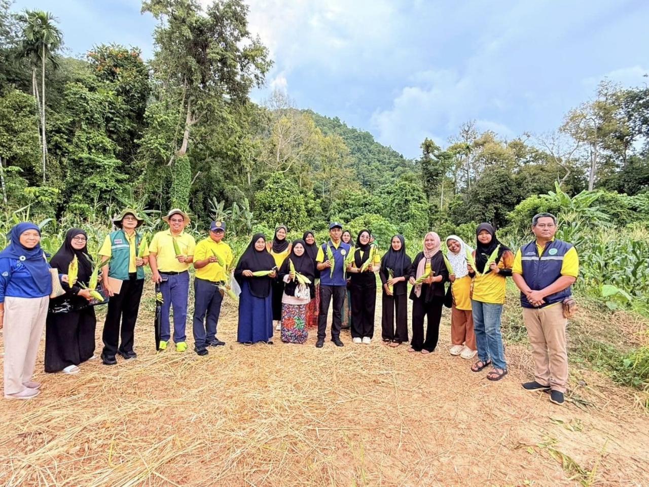 ภาพประกอบที่ 4