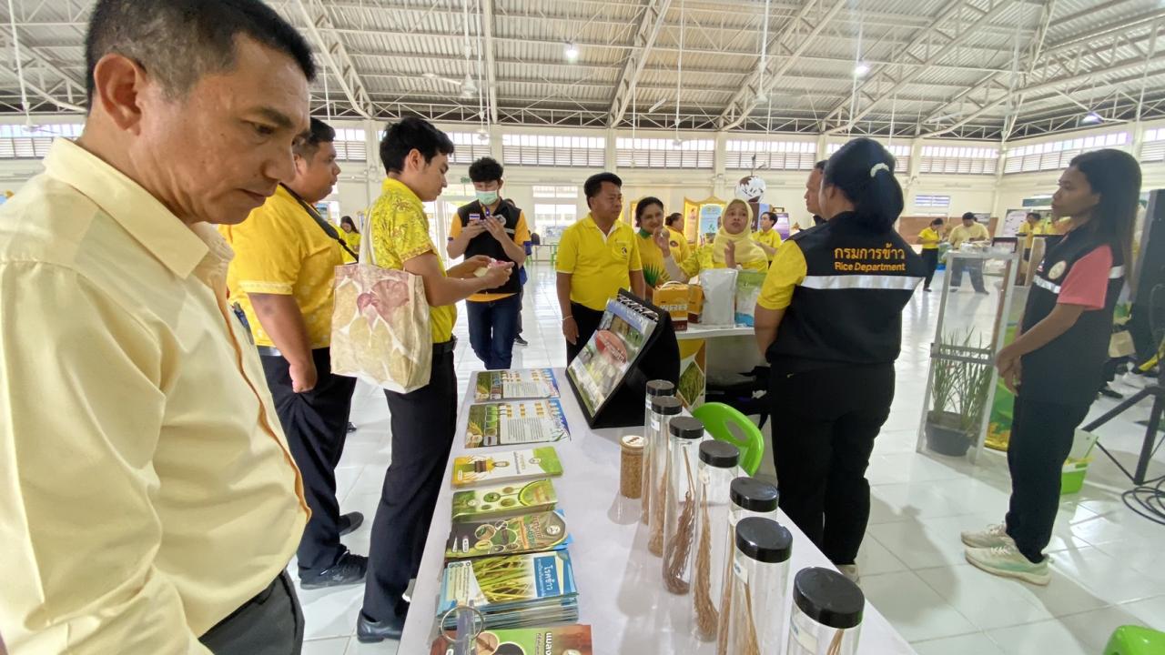 ภาพประกอบที่ 9