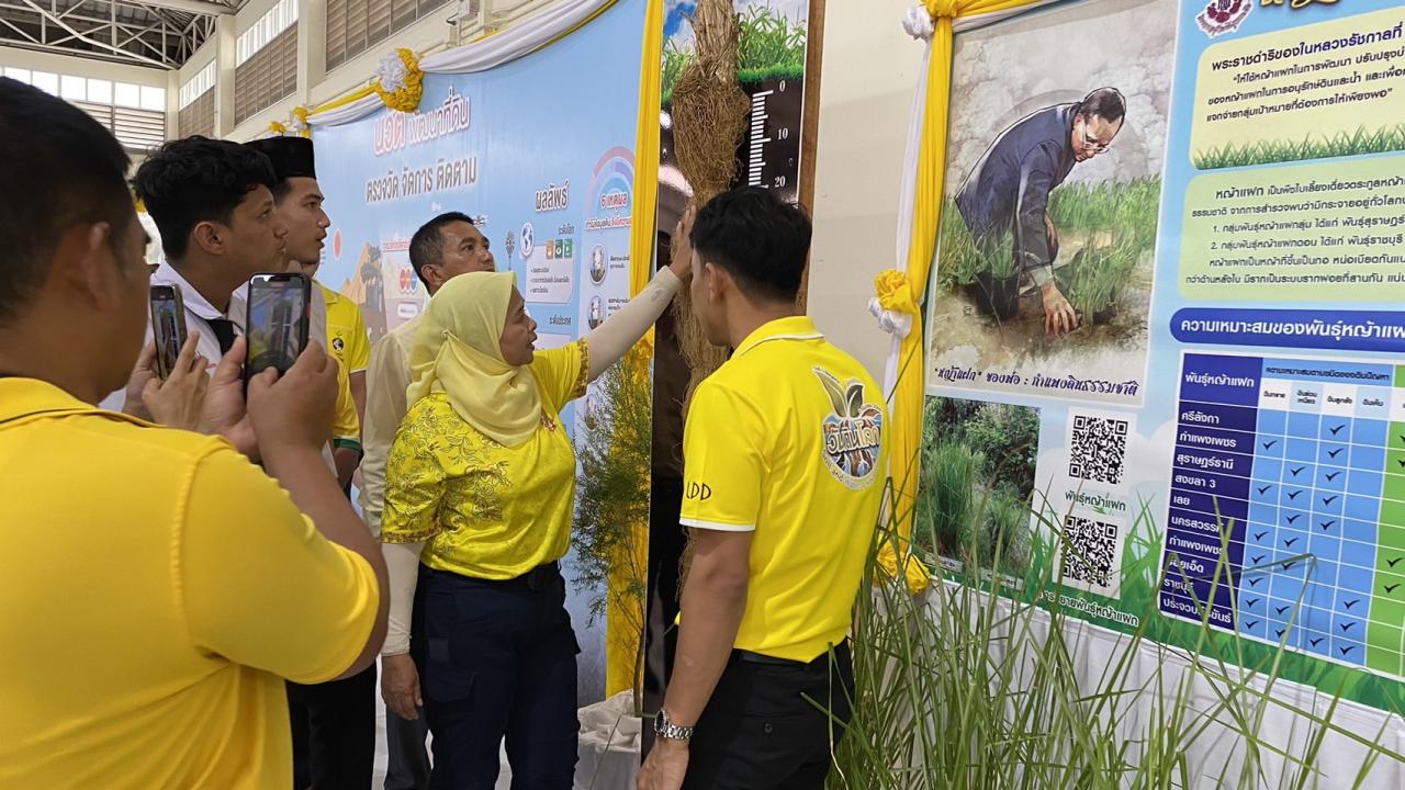 ภาพประกอบที่ 10