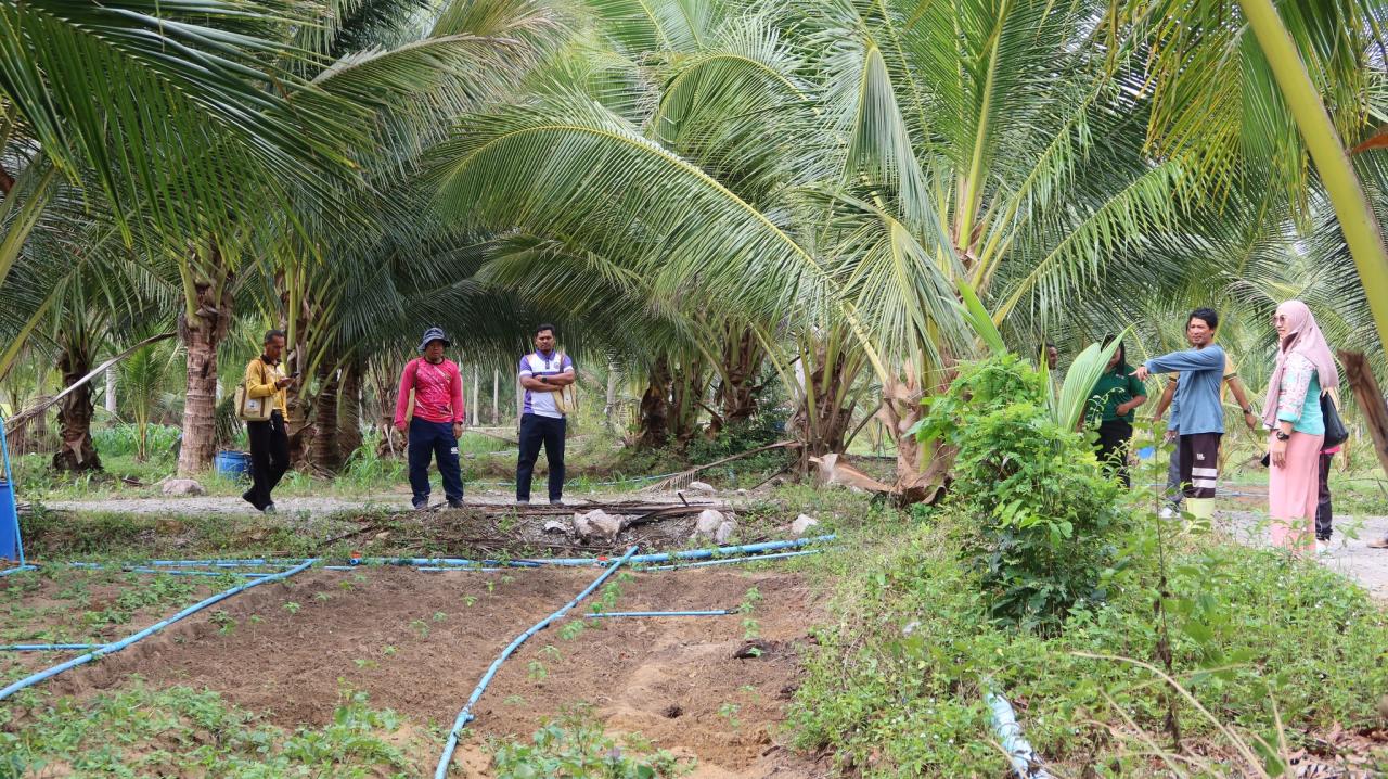ภาพประกอบที่ 24