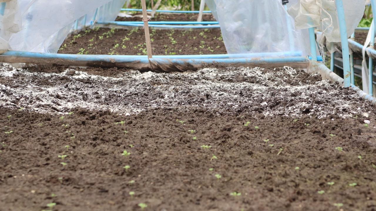 ภาพประกอบที่ 28