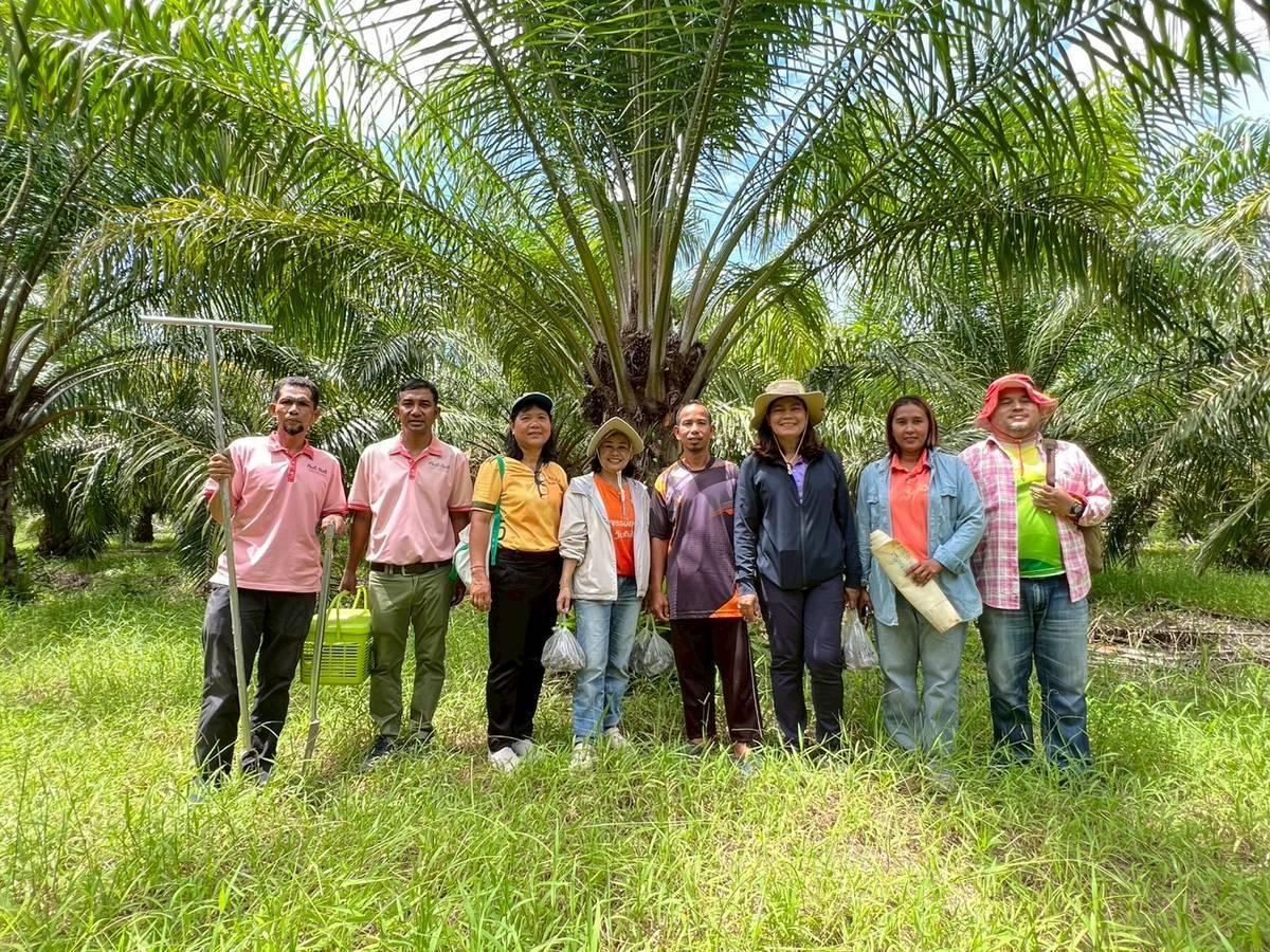 ภาพประกอบที่ 0