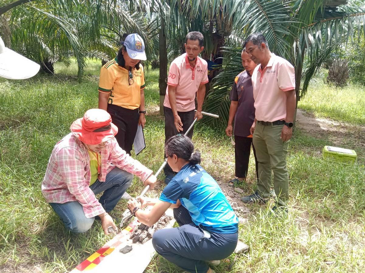 ภาพประกอบที่ 1