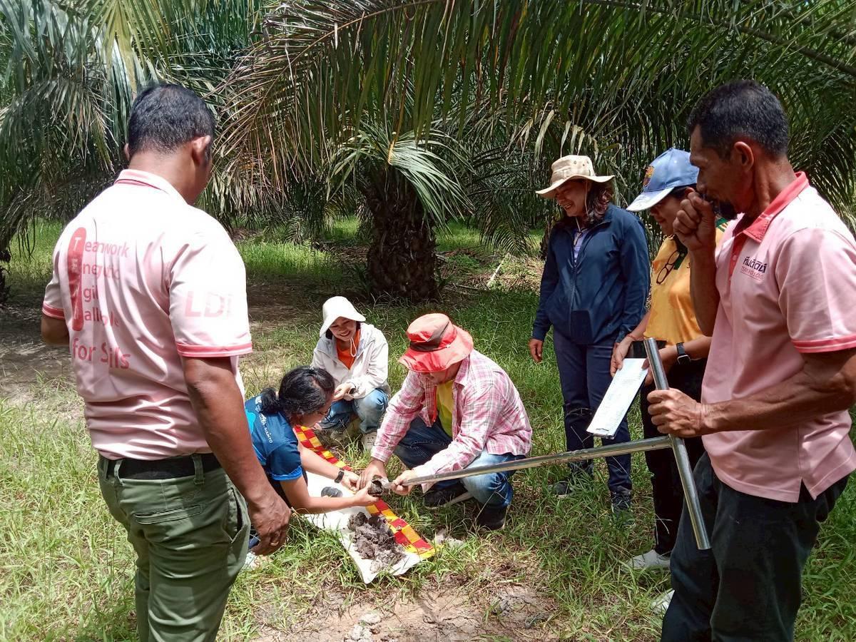 ภาพประกอบที่ 2