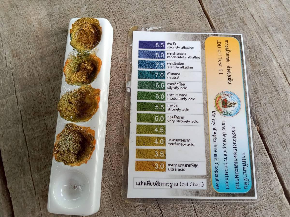 ภาพประกอบที่ 4