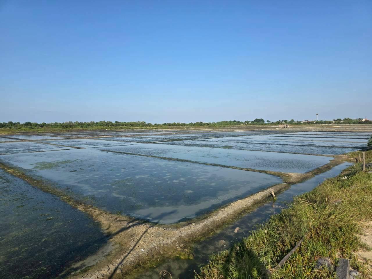 ภาพประกอบที่ 8