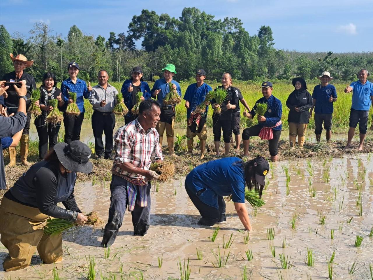 ภาพประกอบที่ 1