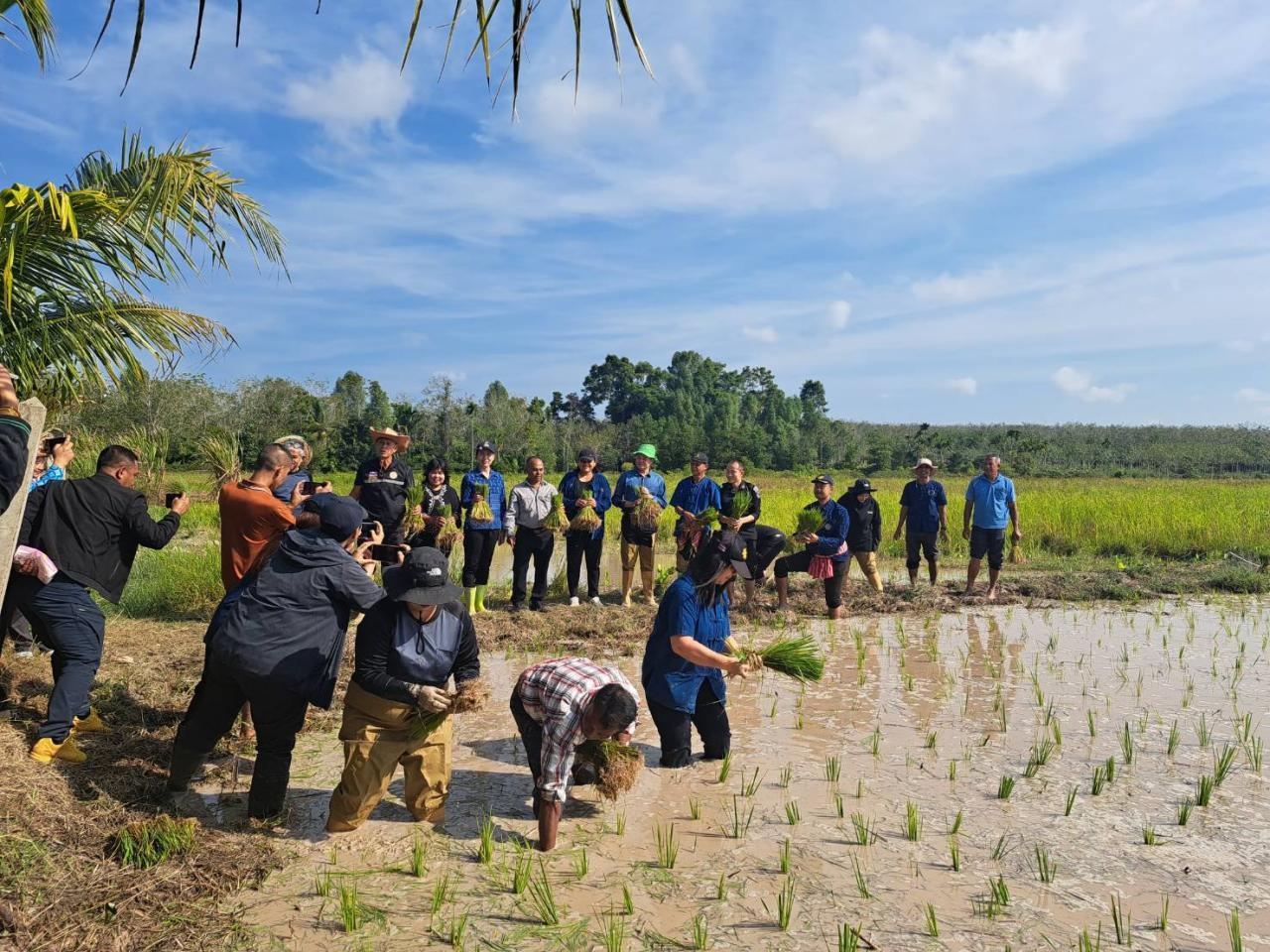 ภาพประกอบที่ 2