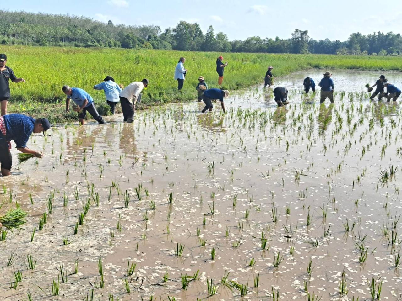 ภาพประกอบที่ 4