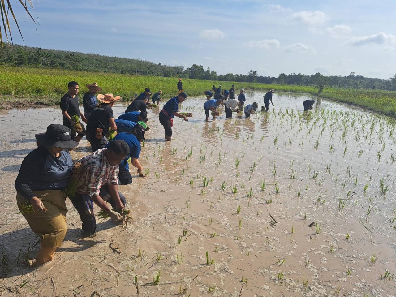 ภาพประกอบที่ 5
