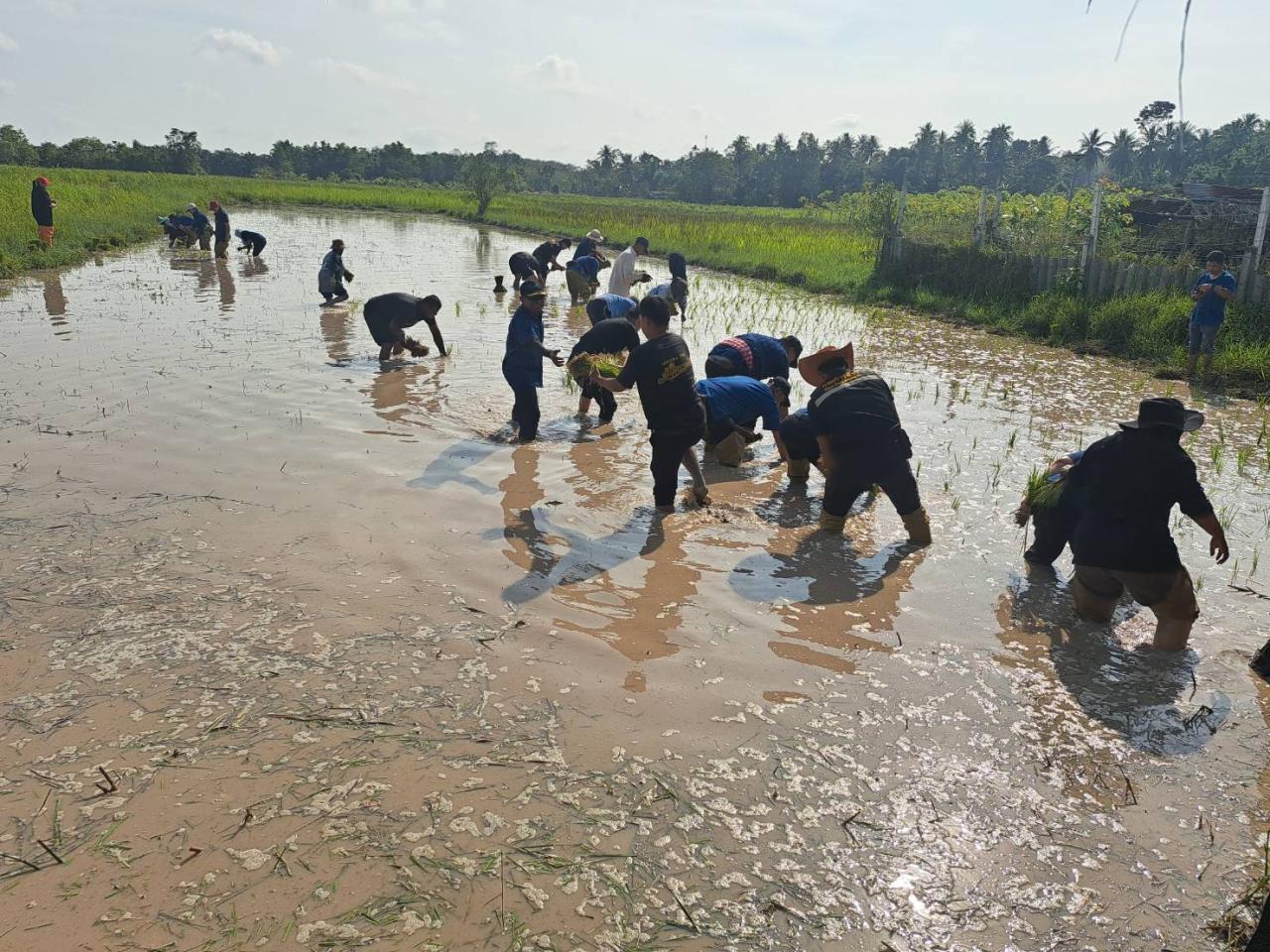 ภาพประกอบที่ 6