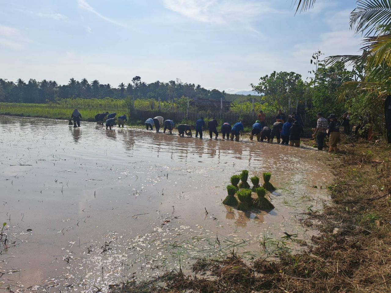 ภาพประกอบที่ 7