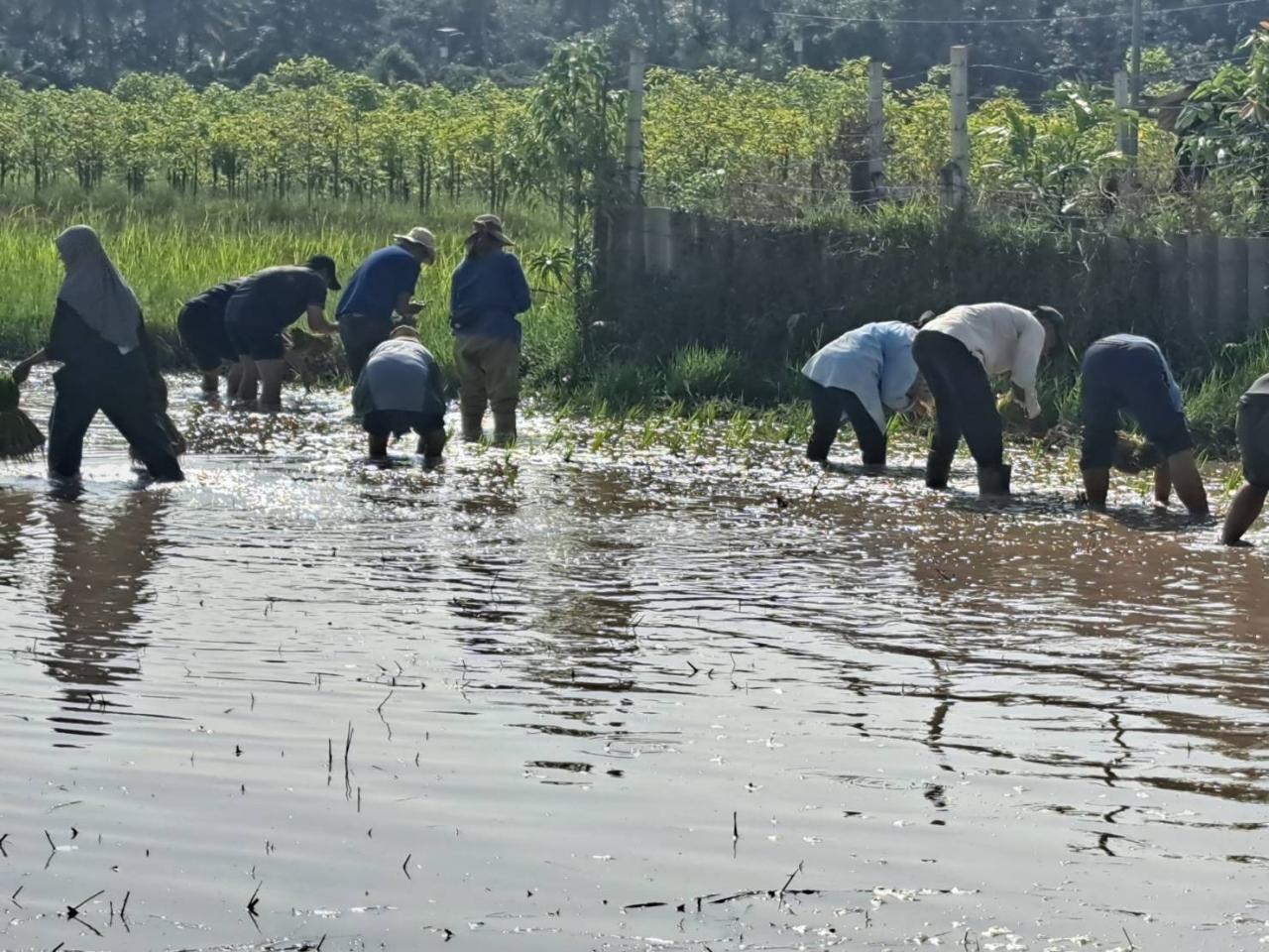 ภาพประกอบที่ 8