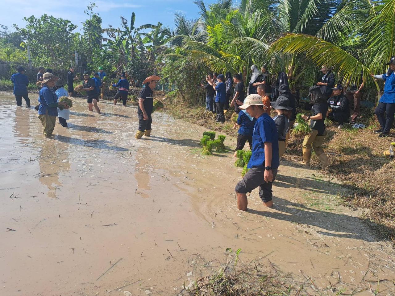 ภาพประกอบที่ 9