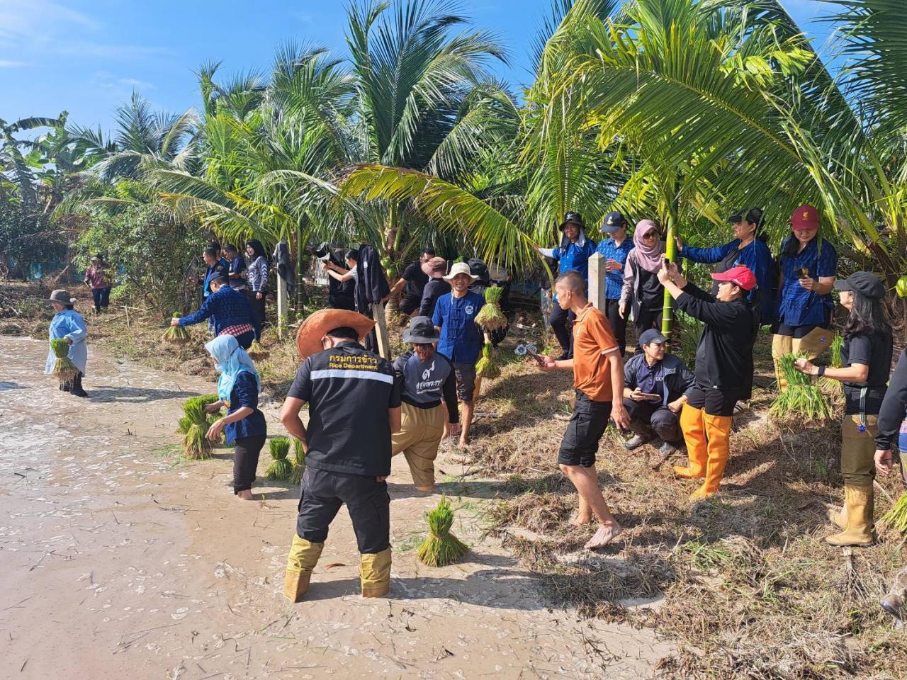 ภาพประกอบที่ 10