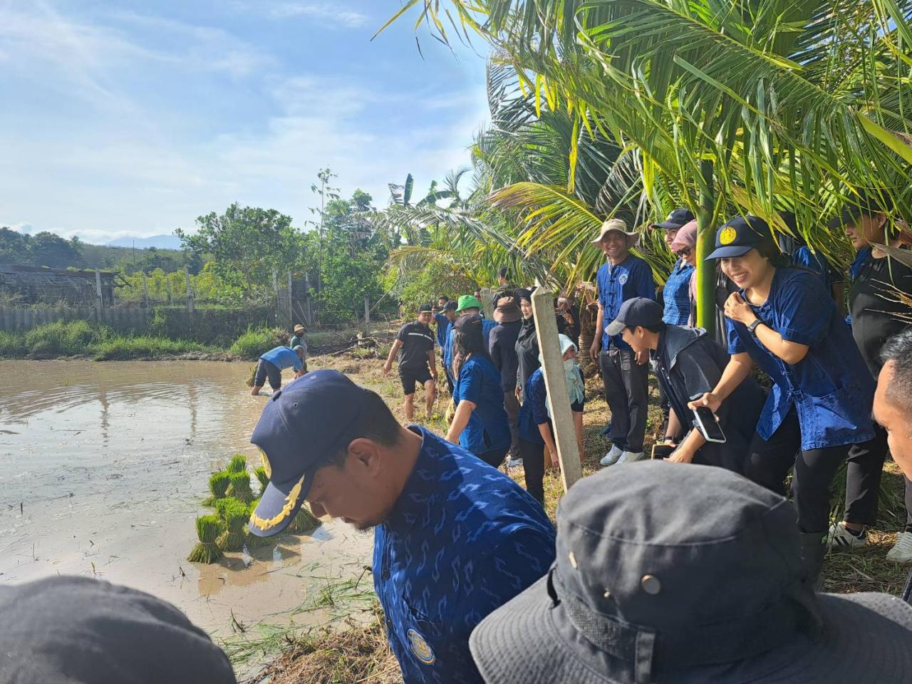 ภาพประกอบที่ 11