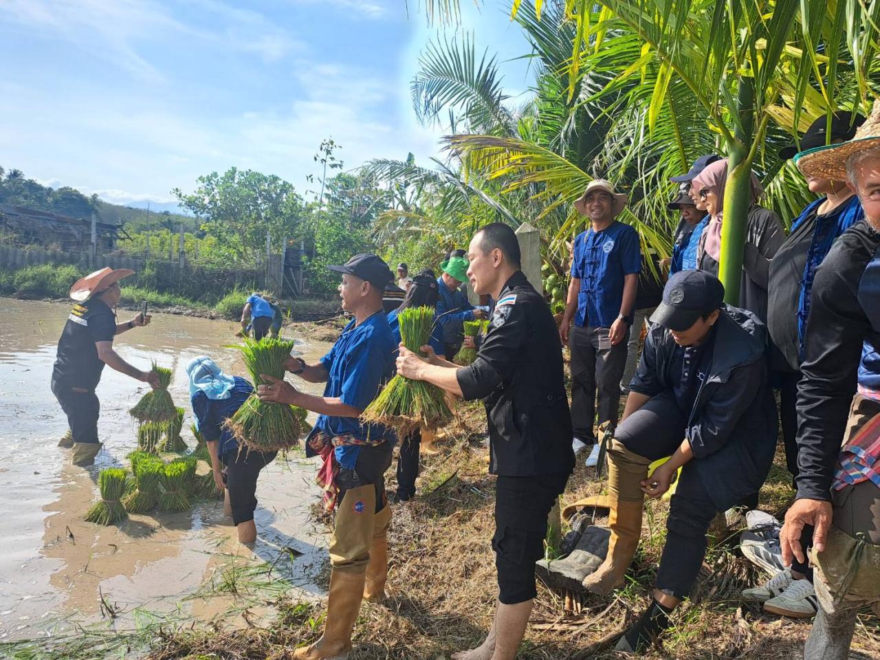 ภาพประกอบที่ 12