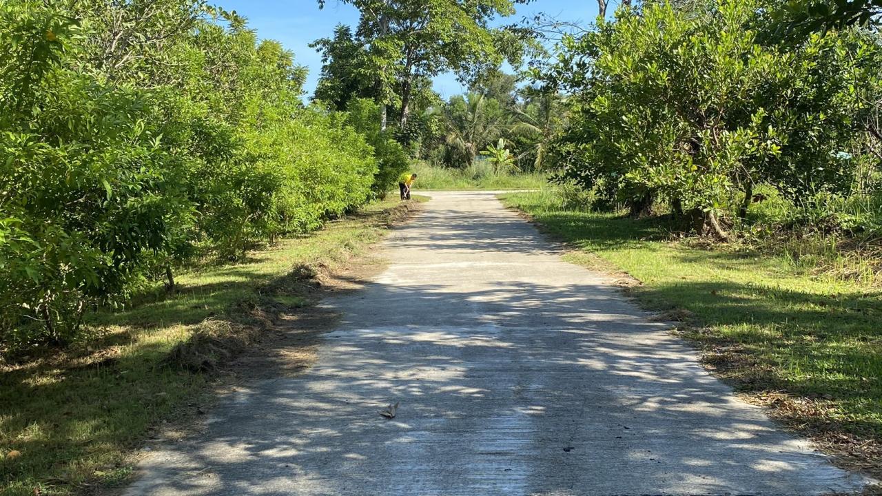 ภาพประกอบที่ 6