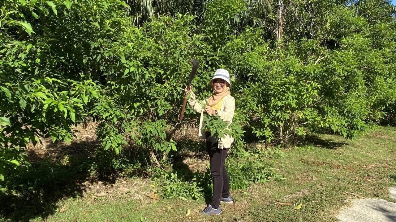 ภาพประกอบที่ 8