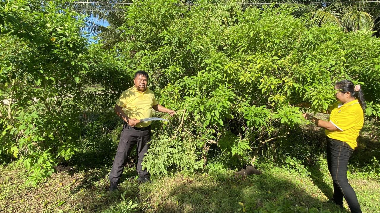 ภาพประกอบที่ 23