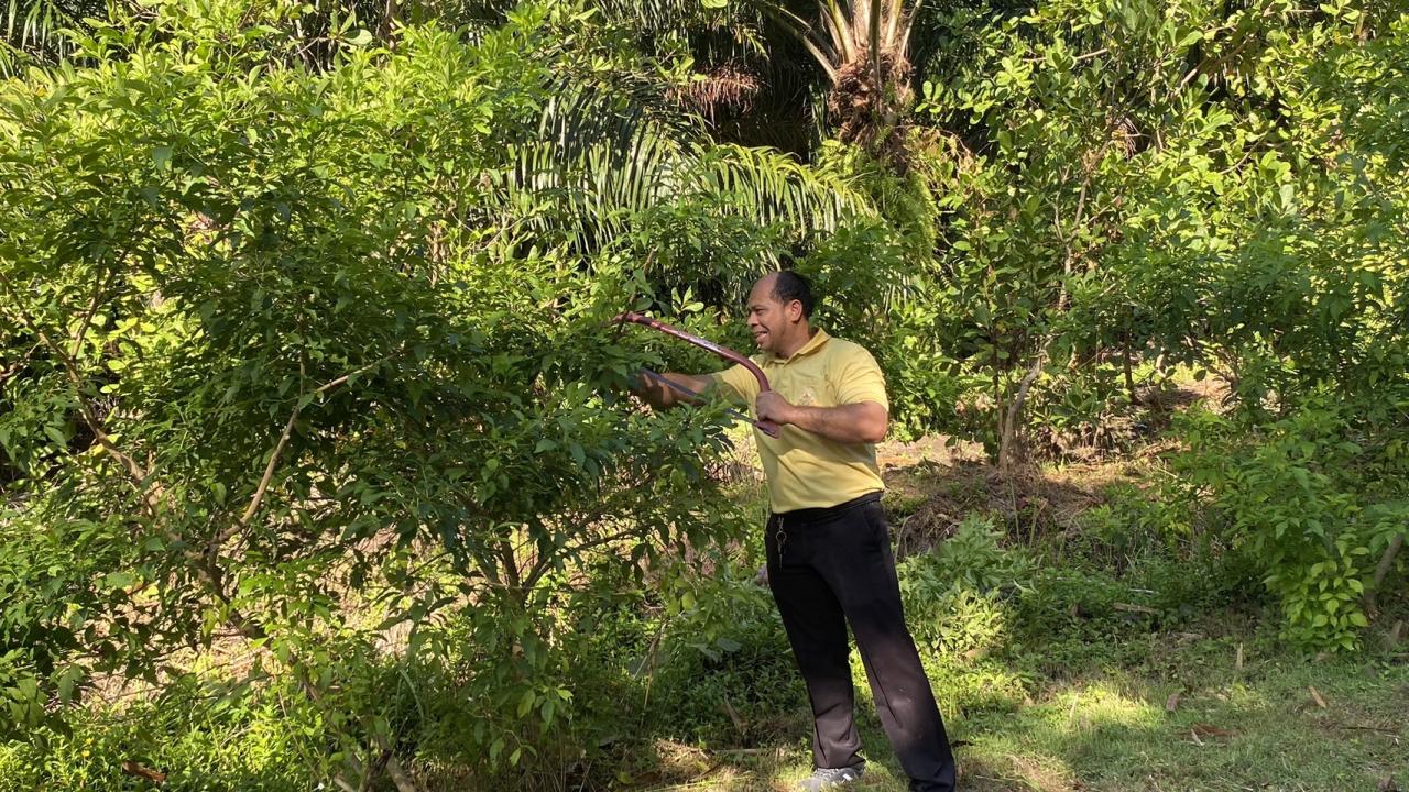 ภาพประกอบที่ 25