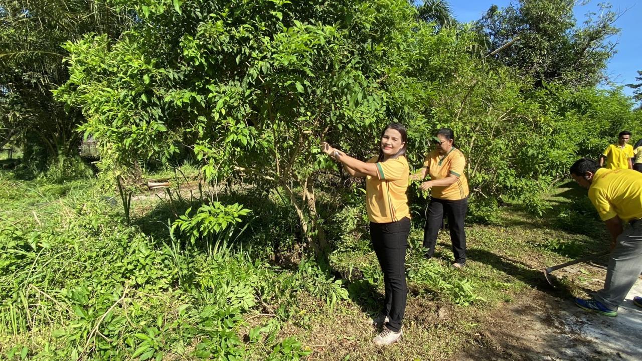 ภาพประกอบที่ 29