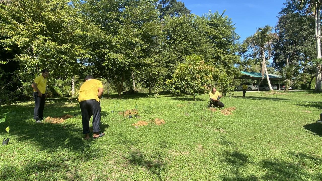 ภาพประกอบที่ 41