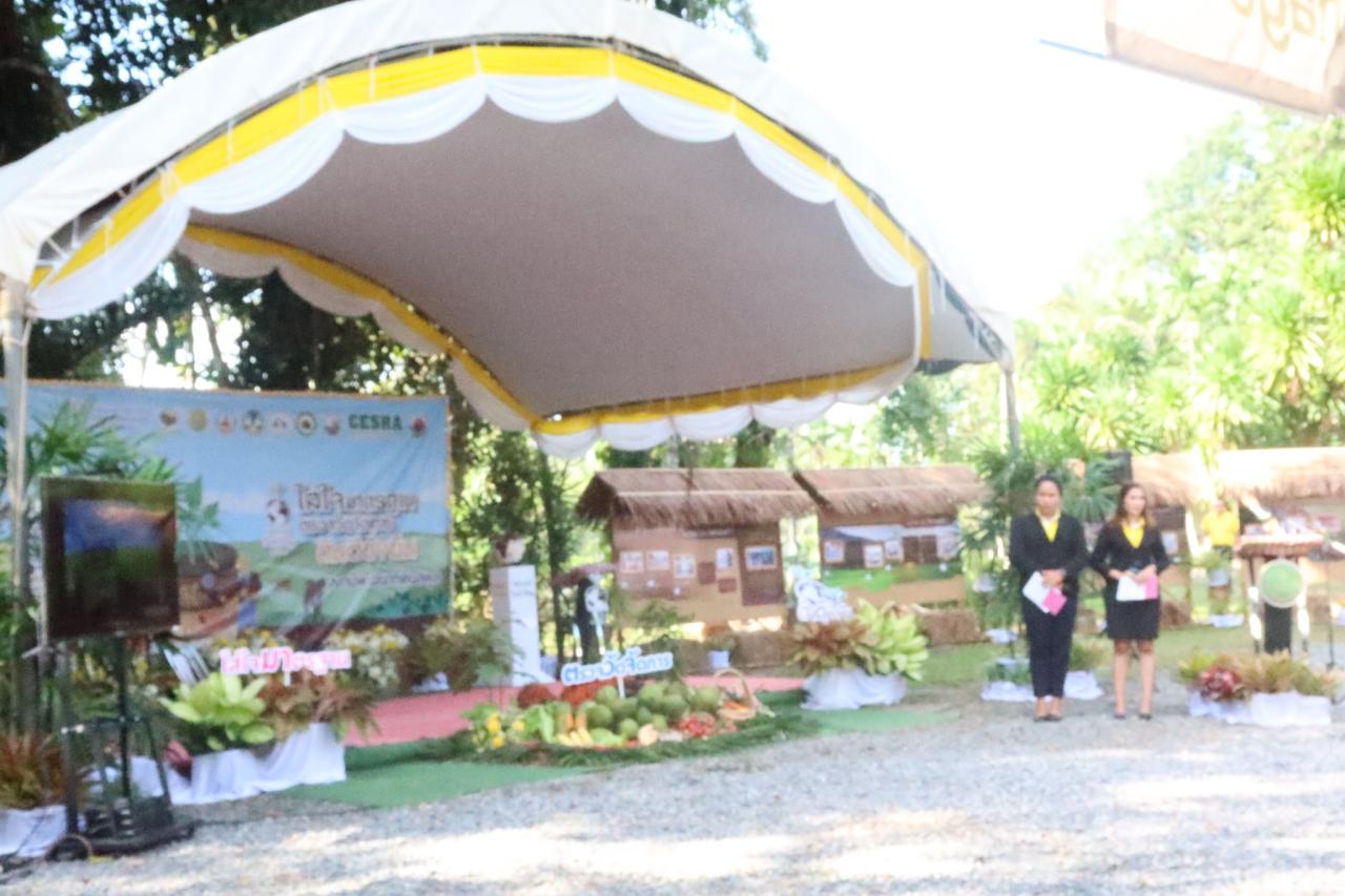 ภาพประกอบที่ 38