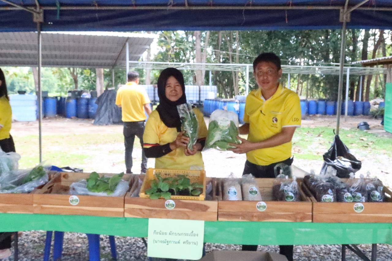 ภาพประกอบที่ 41